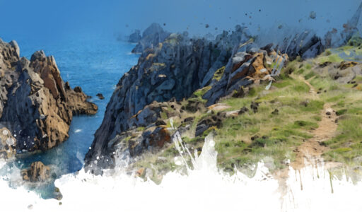 Participation / Deltagande